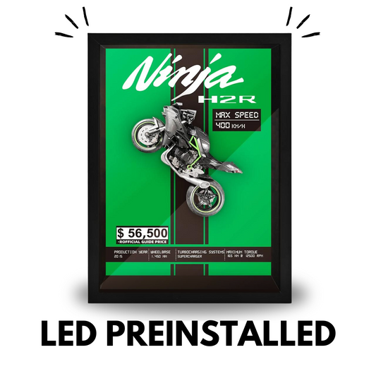 3D Bike Frames with LED